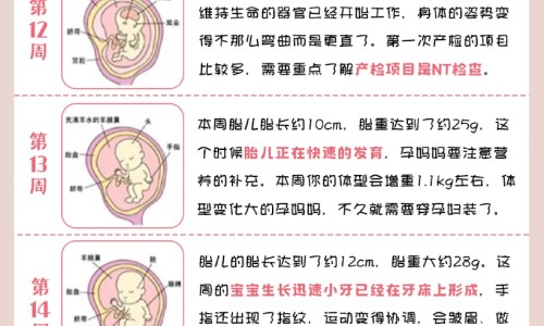 小叶增生适合喝什么中药茶饮专区_小叶增生不能吃什么食物专区_小叶增生病人不能用的中药网