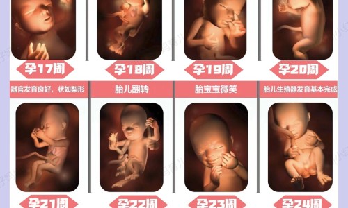 小叶增生适合喝什么中药茶饮专区_小叶增生不能吃什么食物专区_小叶增生病人不能用的中药网
