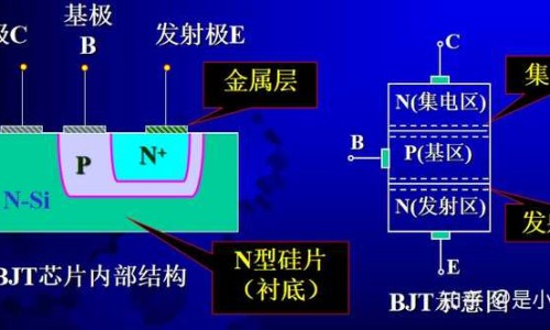 小叶增生不能吃的水果-小叶增生适合喝什么中药茶饮专区_小叶增生不能吃什么食物专区_小叶增生病人不能用的中药网